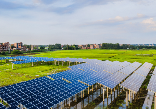 Parcuri Fotovoltaice