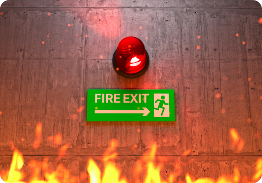 Monitorizare subacvatică