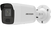 Hikvision Камера видионаблюдения DS-2CD3066G2-IS(H)(EF)