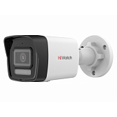 HiWatch Camera de supraveghere DS-I250M (С)