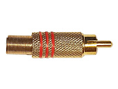 Conector Adapter FF 81 (Tiulipan)