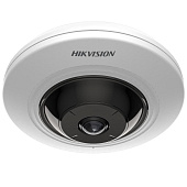 Hikvision Камера видеонаблюдения DS-2CD3956G2-ISU