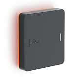 Sigur Считыватель MR100